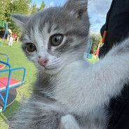 tishka